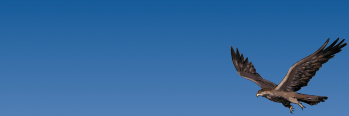 INDUSTRIE- UND FINANZKONTOR ETABLISSEMENT